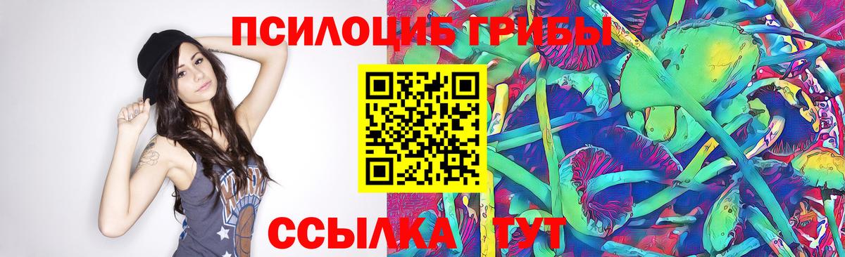 Галлюциногенные грибы Psilocybine cubensis Троицк