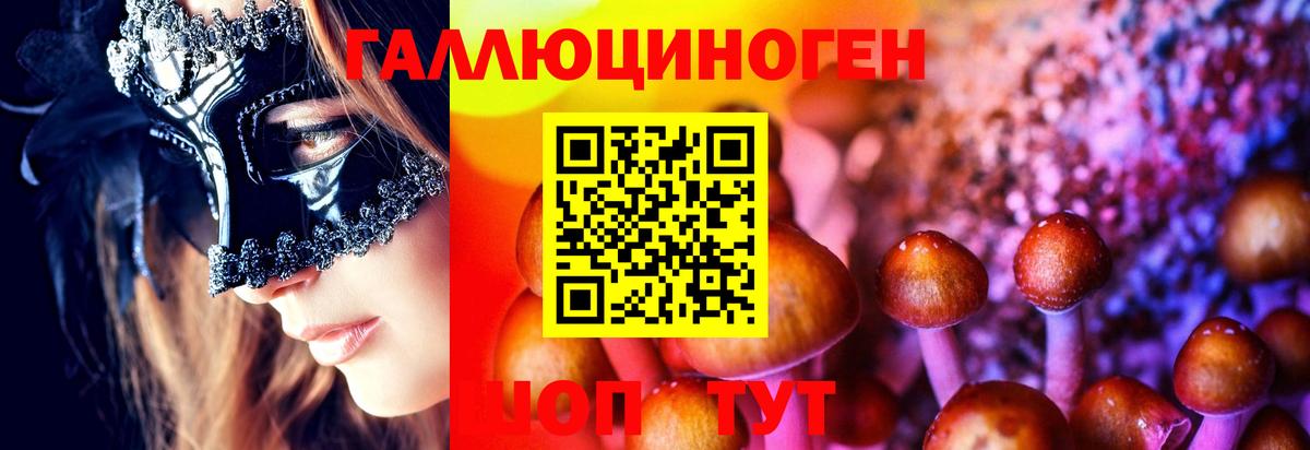 Троицк  Псилоцибиновые грибы Cubensis  Псилоцибиновые грибы Cubensis  Вход с VPN 